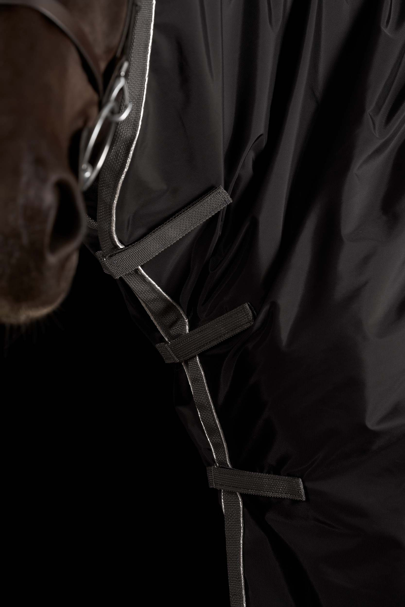 Collection For the Horse – Ride Every Stride Inc.
