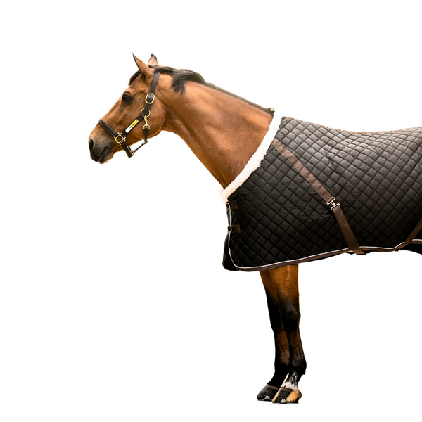 CUSTOM HORSE BLANKETS