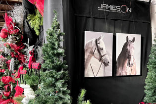  The Cozy Evolution of Equestrian Tack Rooms: Get Ready for the Royal Winter Fair!