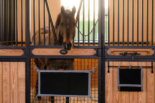  Staying Organized in Your Stable: Essential Tips from Ride Every Stride Inc.