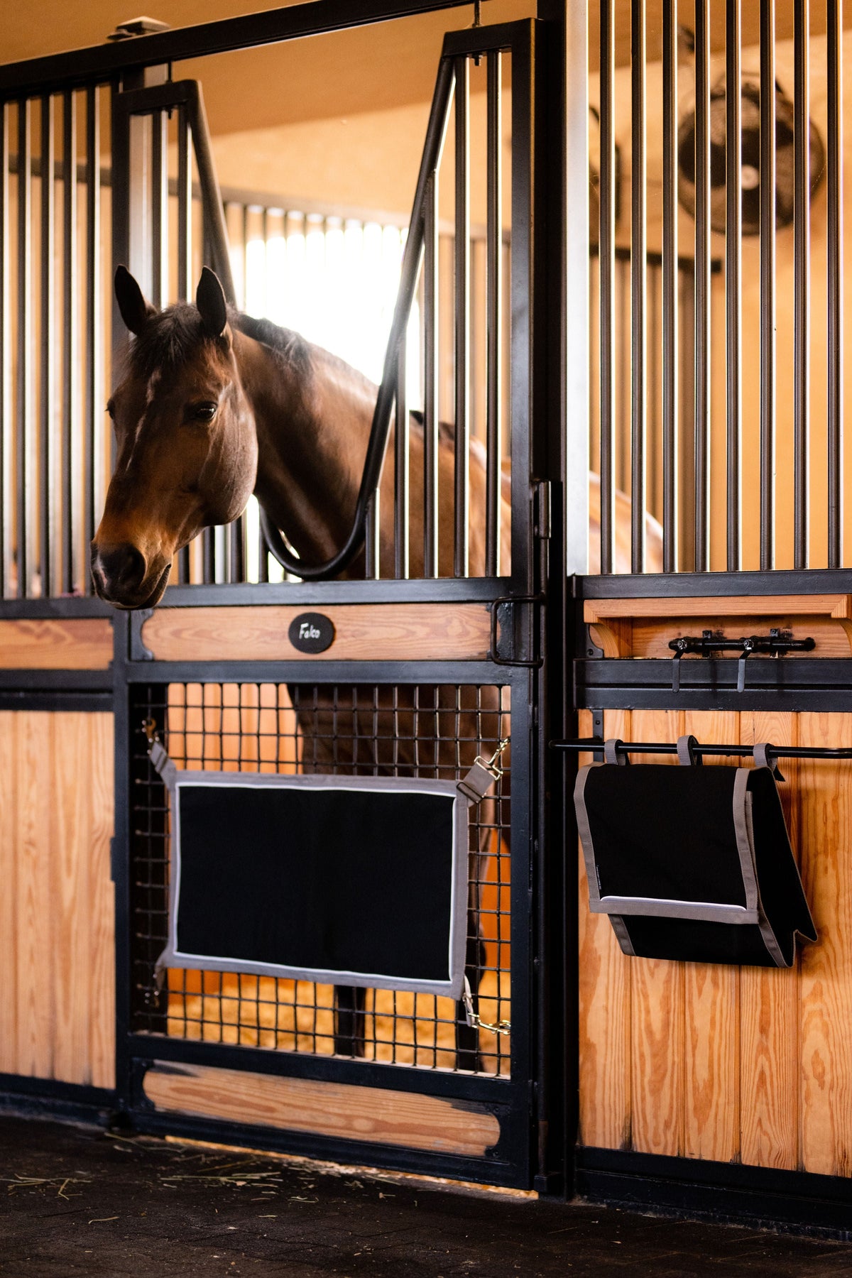 For the Stable