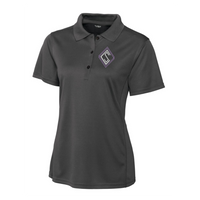 SC Performance Horses Polo