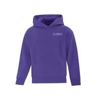 Silver Playoffs Youth Hoodie