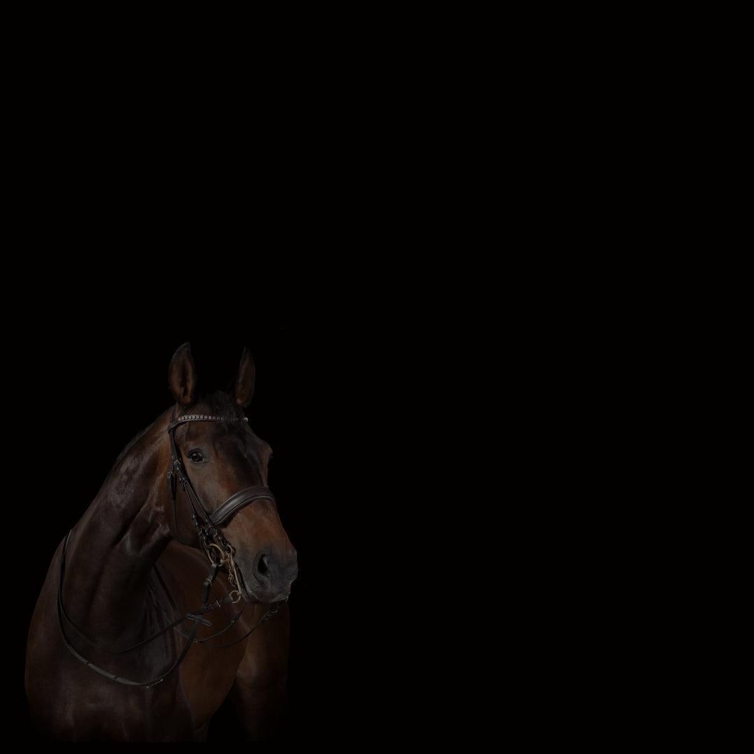 equestrian products logo