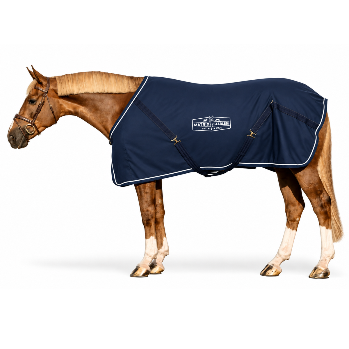 Matrix Stables Stable Sheet
