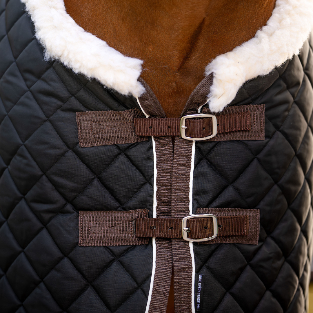 Quilted Exercise Rug Buy Online RES Premium Quilted Stable Rug - Ride Every Stride Inc.