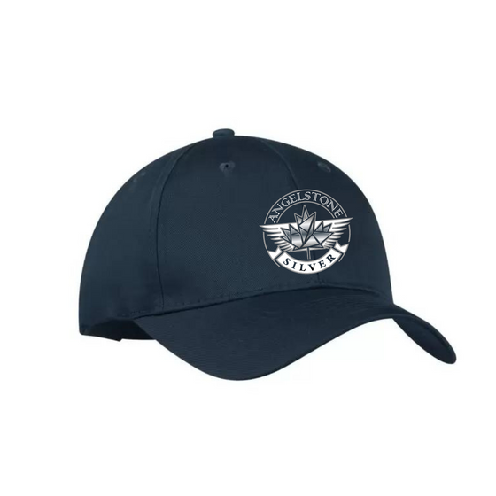 Limited Edition Silver Playoffs Hat