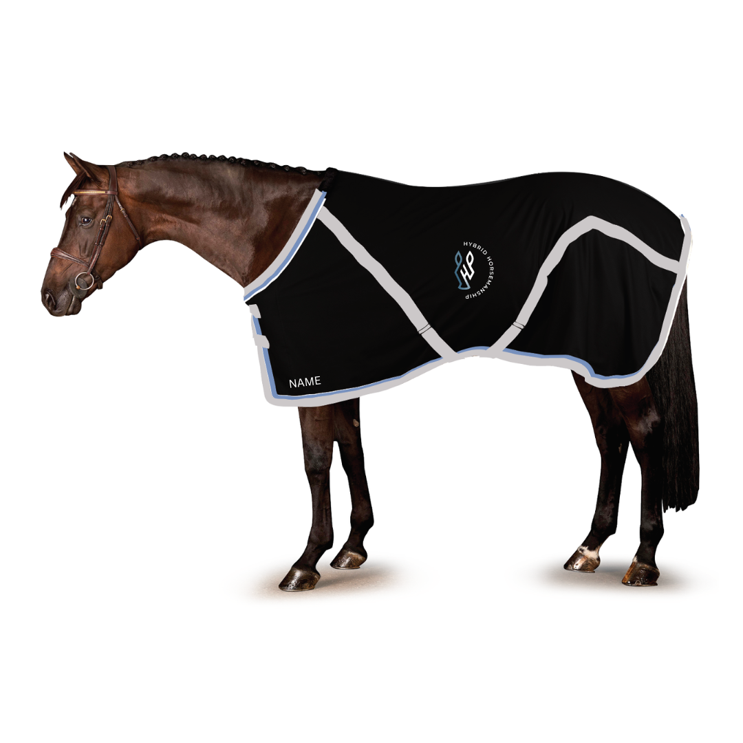 Hybrid Horsemanship Stable Sheet