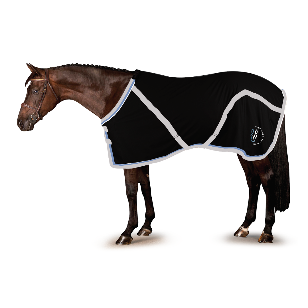 Hybrid Horsemanship Stable Sheet