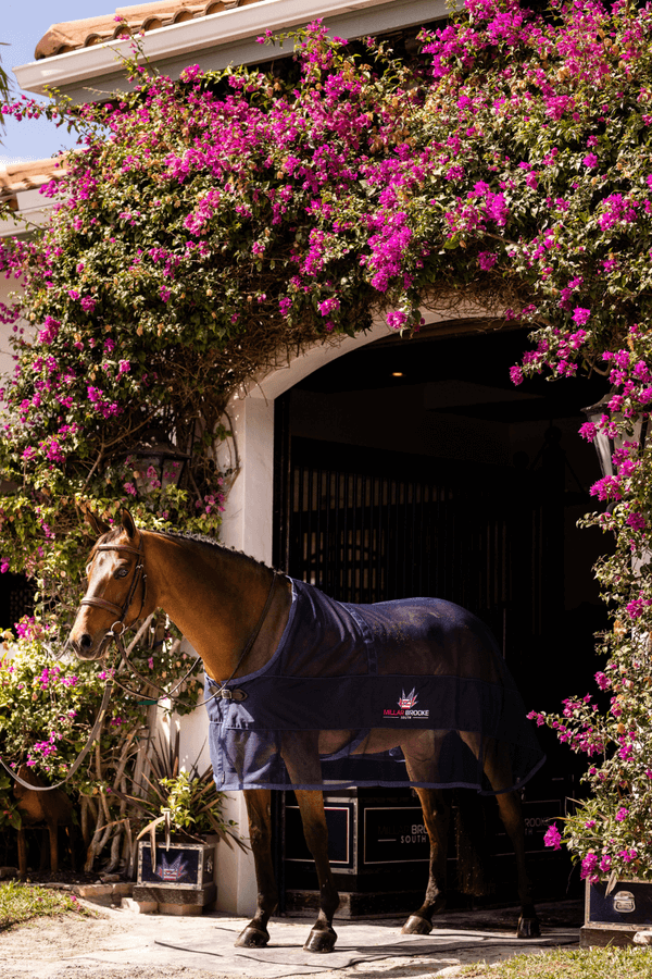 Shop Custom Riding Clothes at Ride Every Stride Inc.