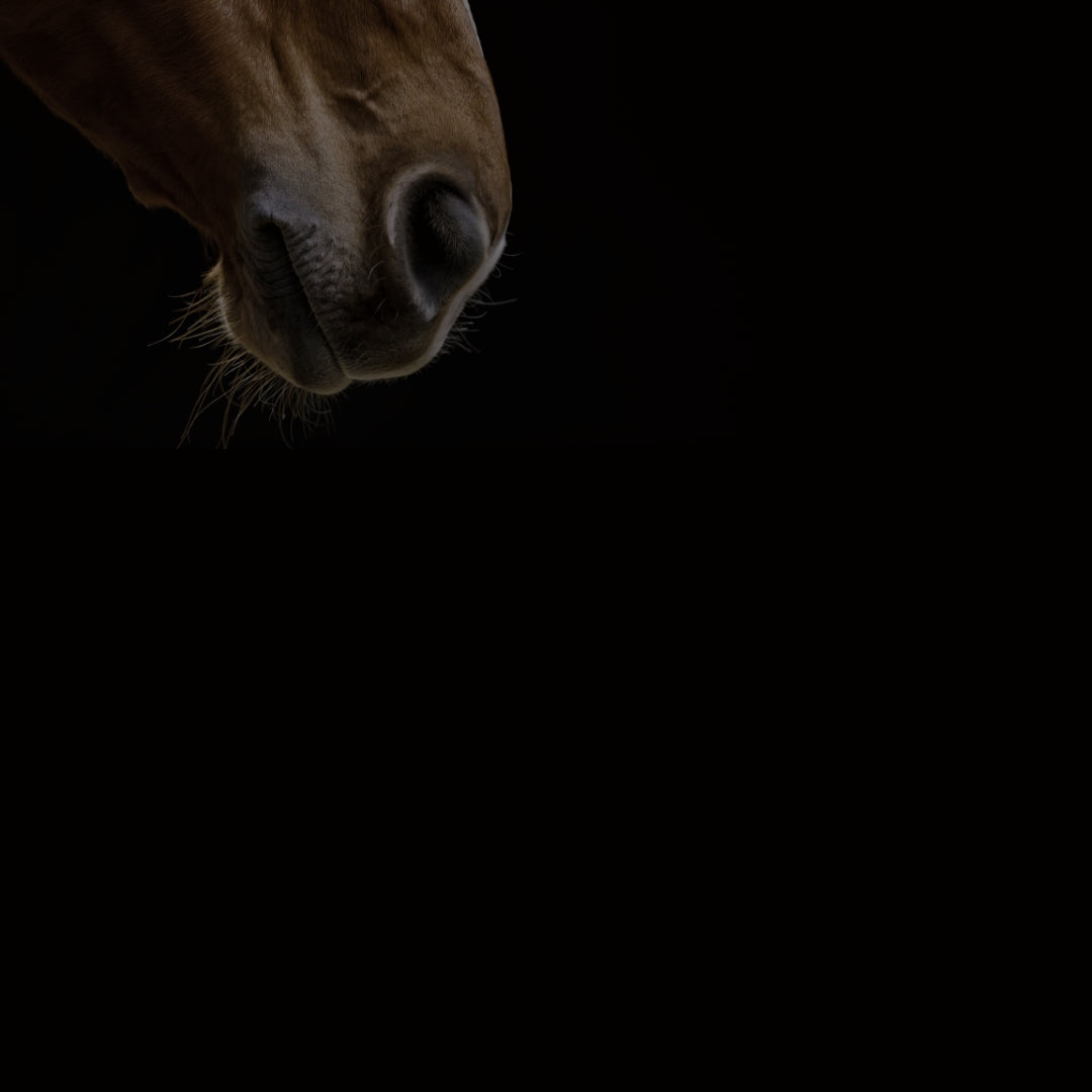  design your own equestrian clothing