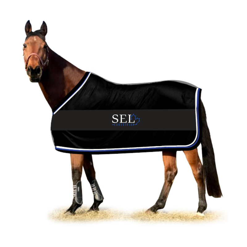 SEL Platinum Scrum