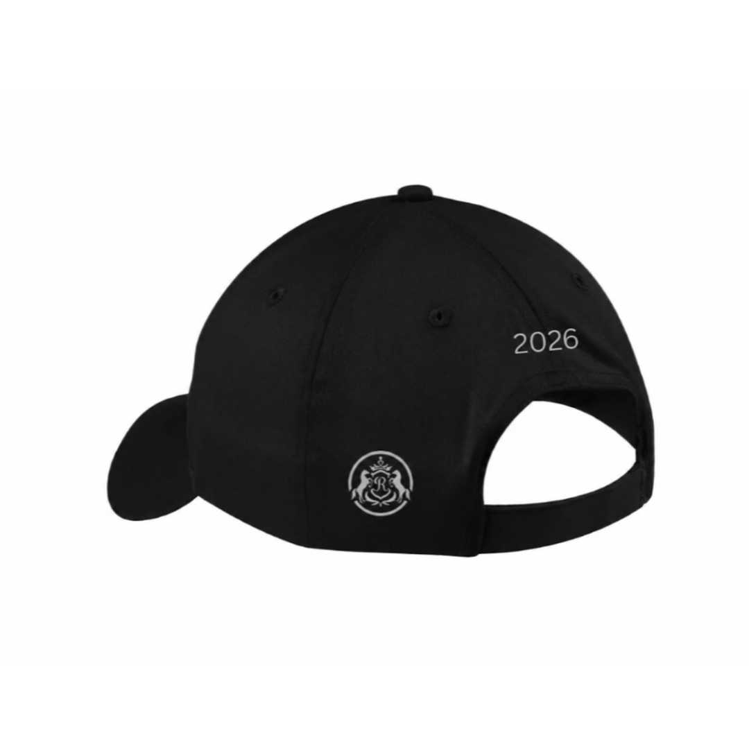 Limited Edition Silver Playoffs Hat