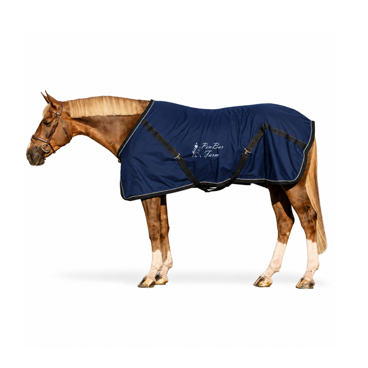 Pen Bar Farm Stable Sheet