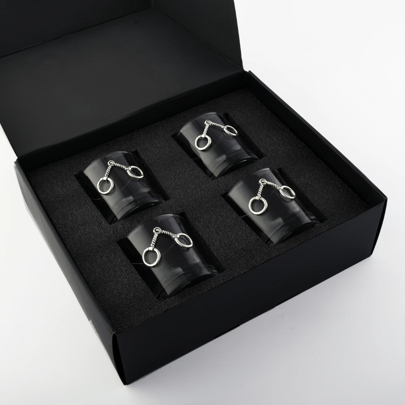 Equestrian Bit Bar Glass Set