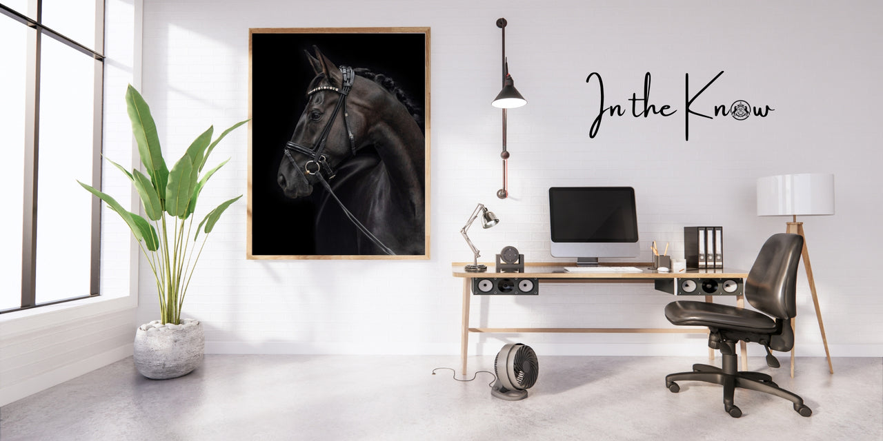  Let them know about horse & rider product 
