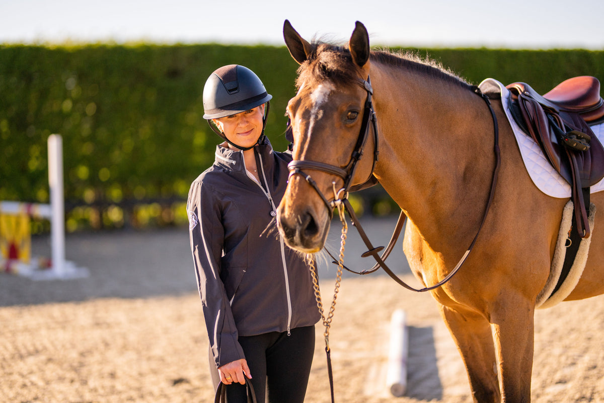 The Ultimate Equestrian Grooming Kit