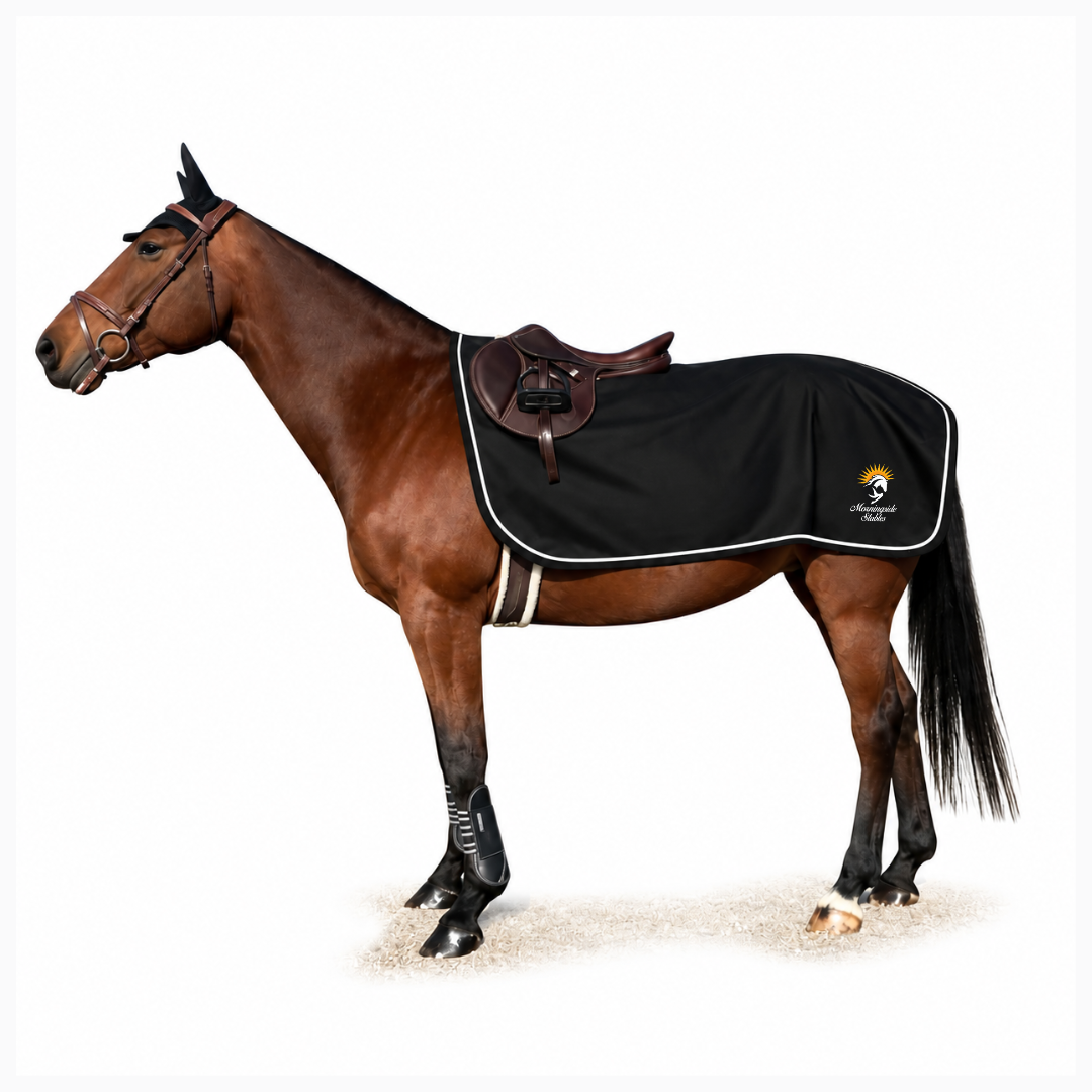 Morningside Stables Quarter Sheet