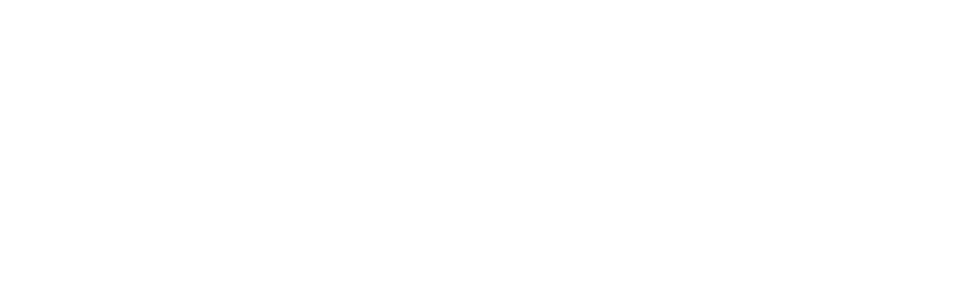 Ride Every Stride Inc.