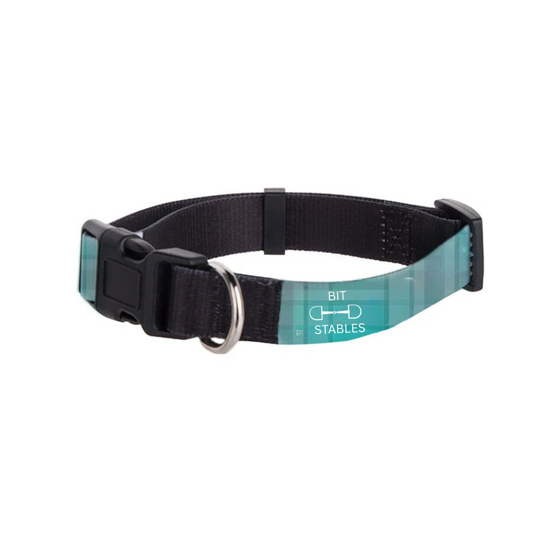 Coming Soon! RES Custom Dog Collar