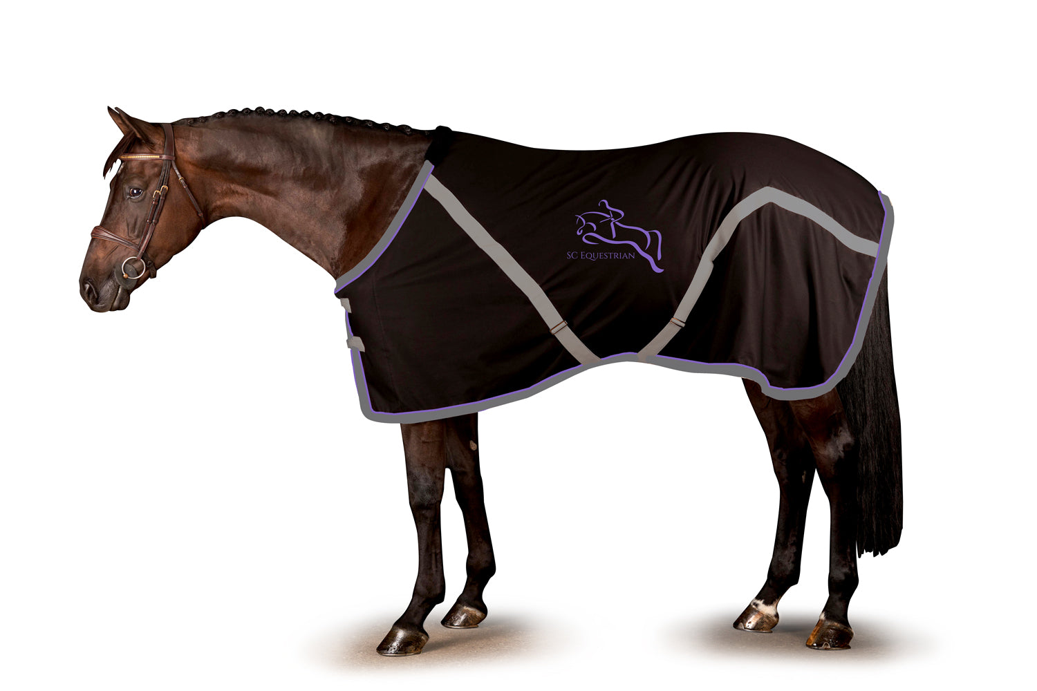 SC Equestrian Stable Sheet