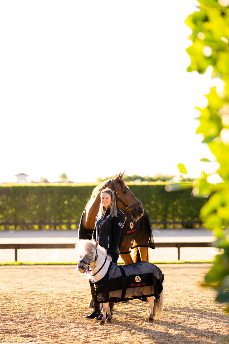 Equestrian products online deals