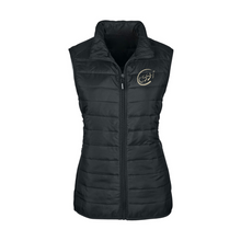  CSS Vest