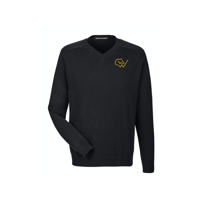 Men's CWHBA V-Neck Sweater