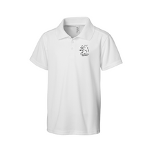  DM Polo
