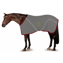  EF Stable Sheet
