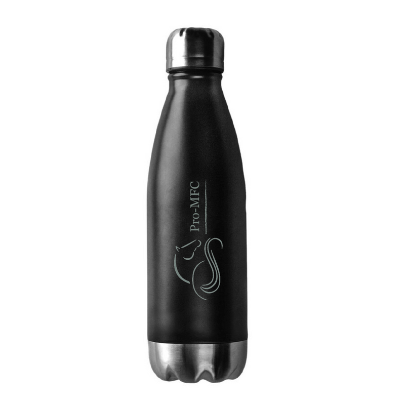 PAEFW Water Bottle