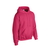Adult Everyday Hoodie
