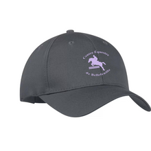  CEB Everyday Cap