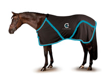  CLS Stable Sheet