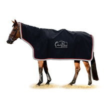  CWE Rain Sheet