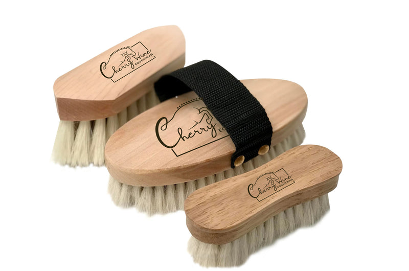 CWE Premium Brush Set