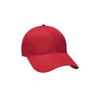 Mesh Panel Cap