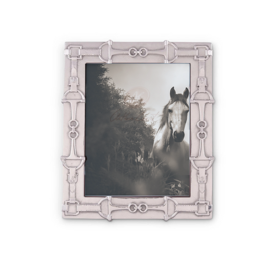 Equestrian Bit Picture Frame