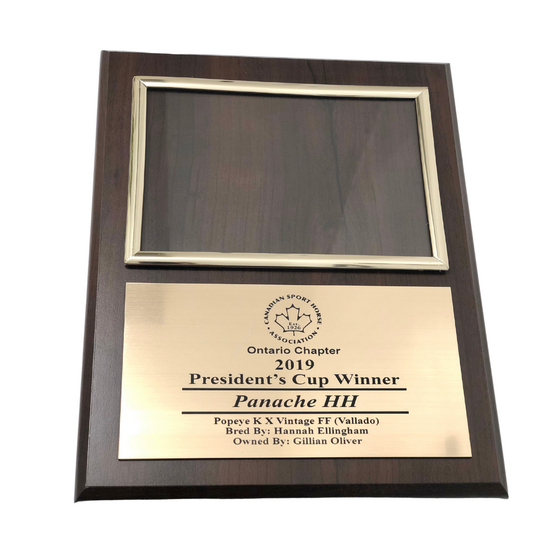 Photo Award Plaque