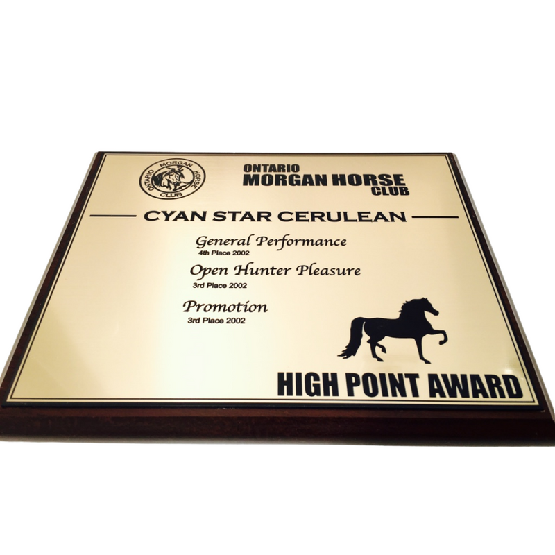 Custom Award Plaque