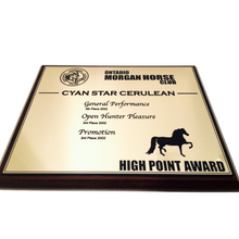 Custom Award Plaque