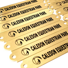 Brass Halter Plates