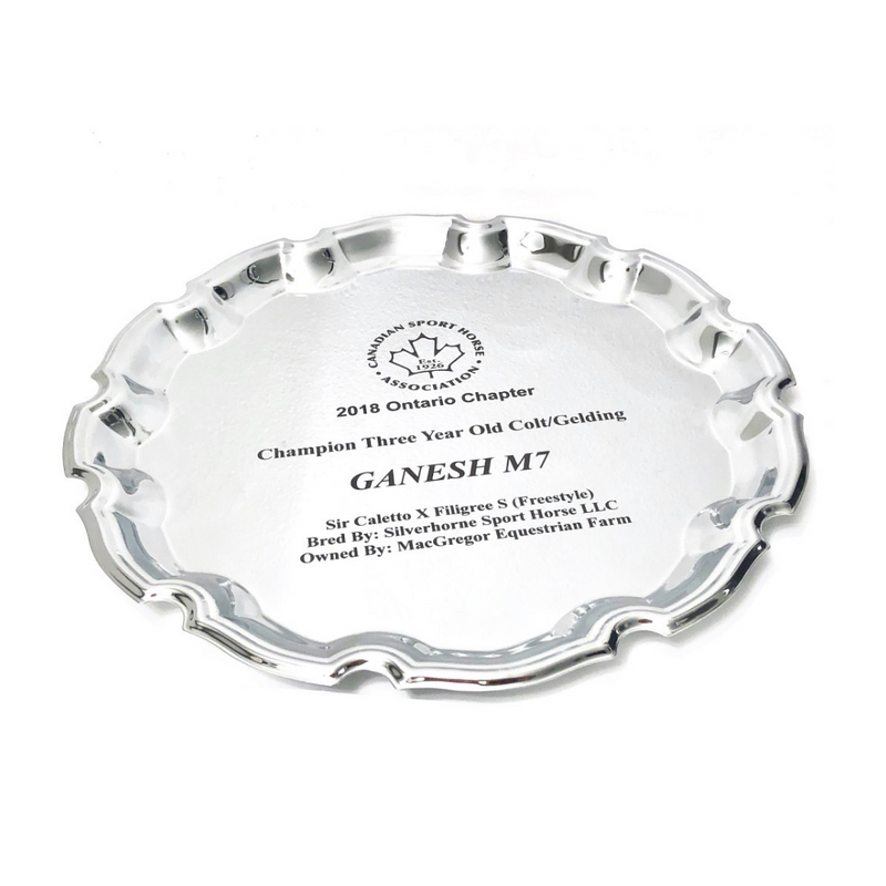 Scallop Horse Show Award Tray