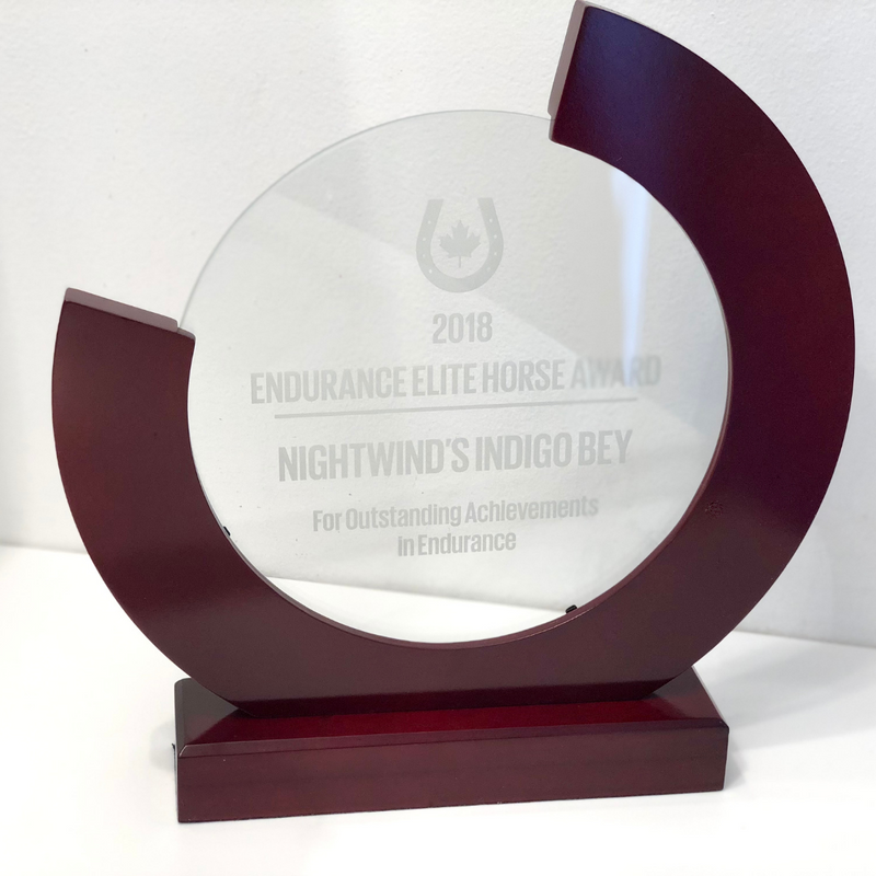 Glass Infinity Award