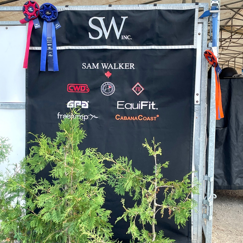 RES Euro & FEI Panel