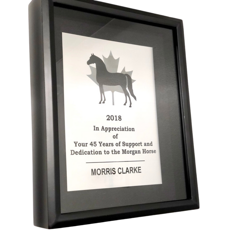 Award Shadow Box