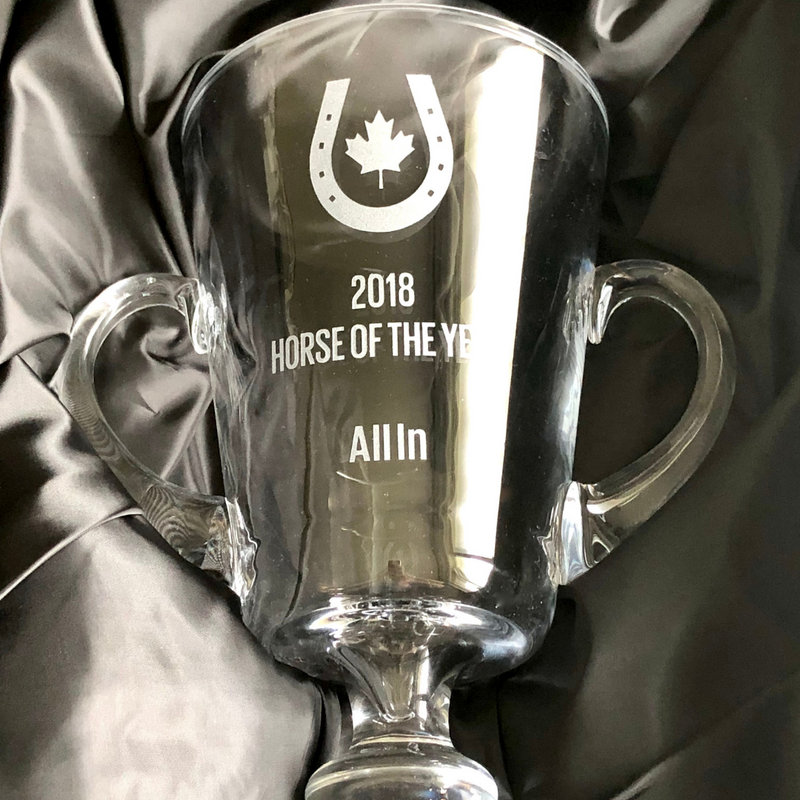 Premium Cup Trophy