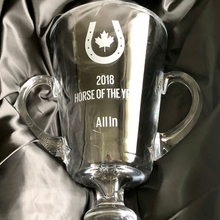  Premium Cup Trophy