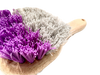 Bucket/Hoof Brush